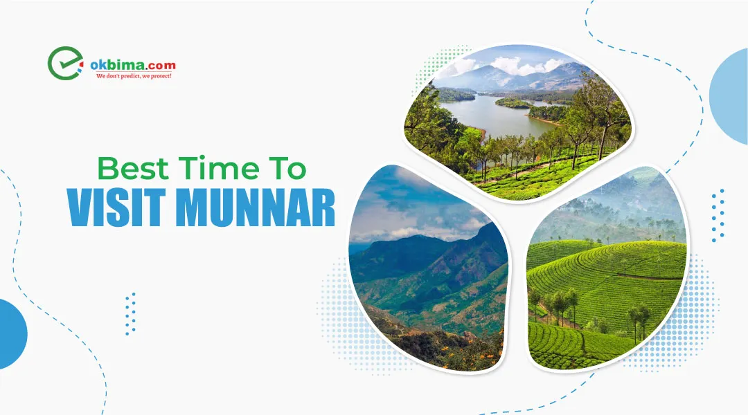 Best Time To Visit Munnar: Weather, Seasons & Temperature